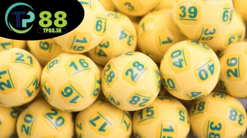 Giới thiệu dự đoán xổ số TP88