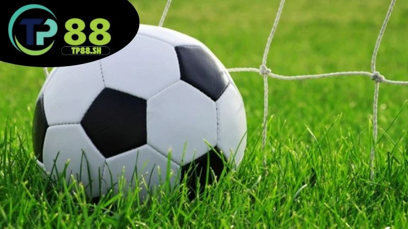 Mẹo xem lịch thi đấu hiệu quả