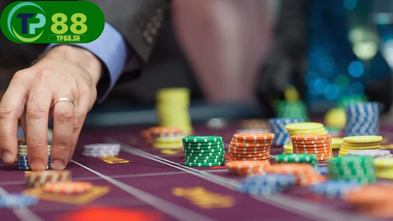 Nhà cái và nhà con trong phiên cược trực tiếp hấp dẫn