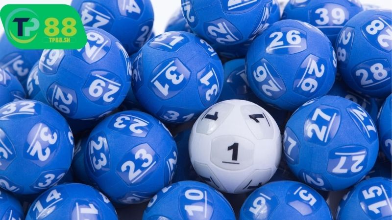 Lý do chọn nhà cái xổ số 66